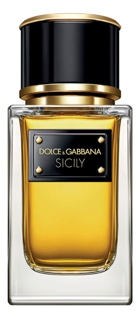 where can i buy dolce and gabbana sicily perfume|dolce and gabbana velvet collection.